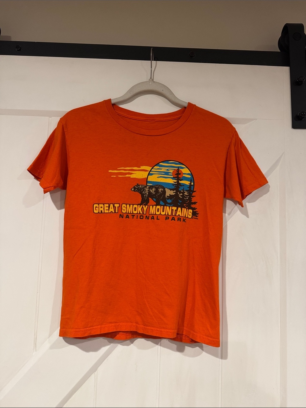 Kids Orange Great Smoky Mountains Graphic Tee